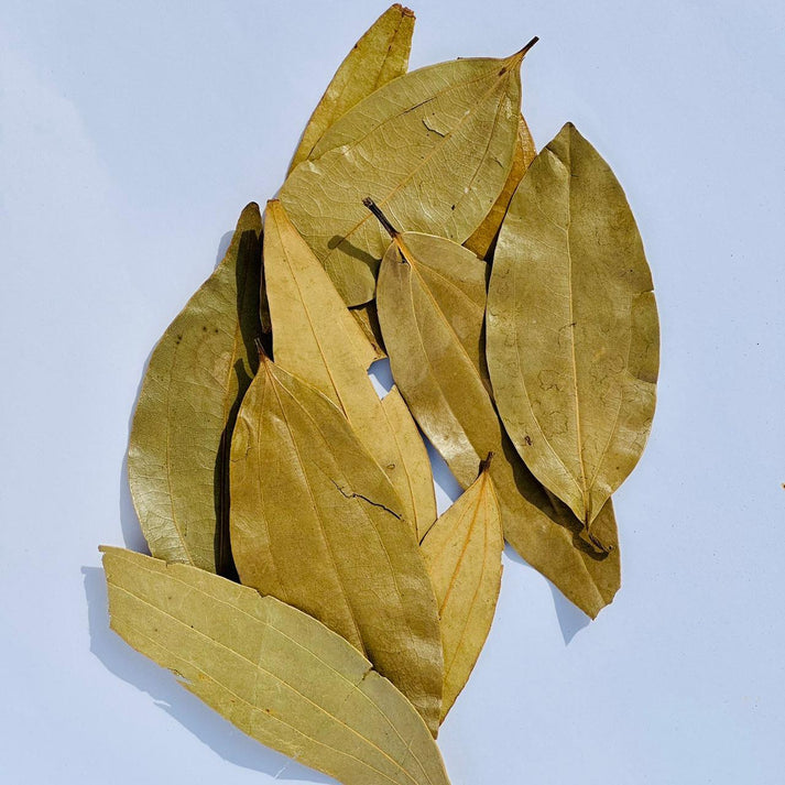 Coriandis Classic Spice Combo – 6 Signature Essential Bundle