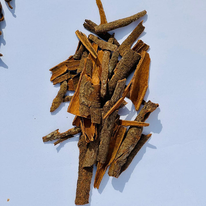 Coriandis Classic Spice Combo – 6 Signature Essential Bundle